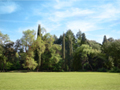 Naturpark Goldenes Kap in Rovinj